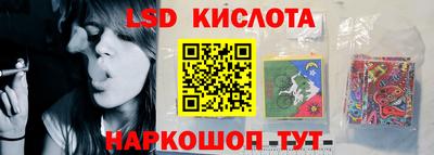 прущие грибы Обь