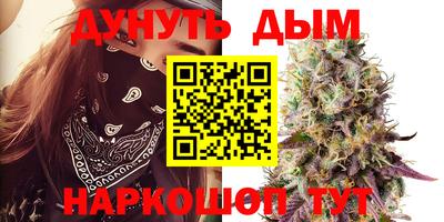прущие грибы Обь