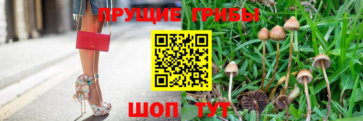 Тимашёвск  Псилоцибиновые грибы Cubensis  Галлюциногенные грибы Psilocybine cubensis  Вход с VPN 