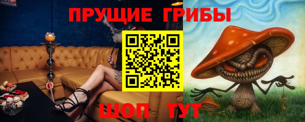 Канабис Тимашёвск